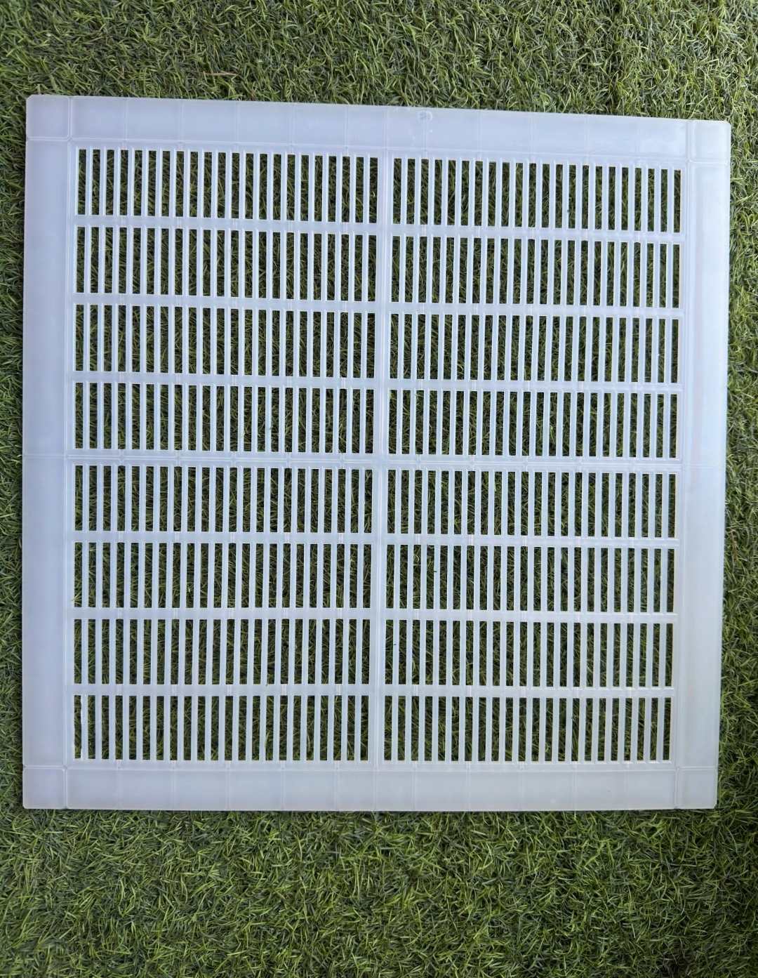 Queen excluder cerana plastic